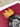 NUNO VIEGAS & SNIK EVERYTHING CONNECTED BURGUNDY GOLD LEAF P/P