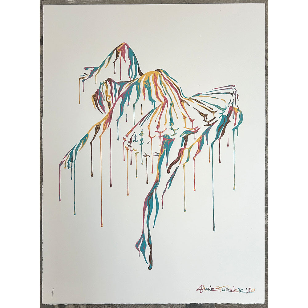 SHANE TURNER MUSIC IN MOTION WHITE HAND PAINTED 1/1