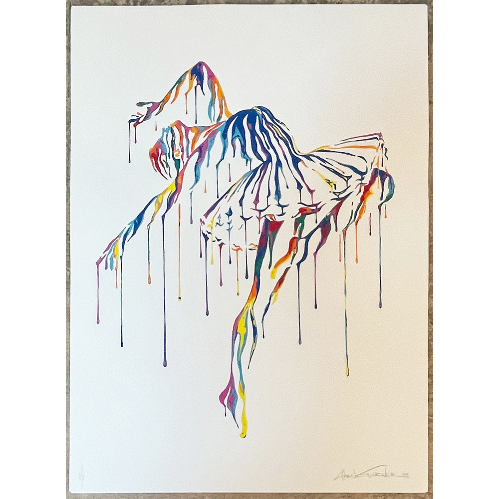 SHANE TURNER MUSIC IN MOTION WHITE P/P