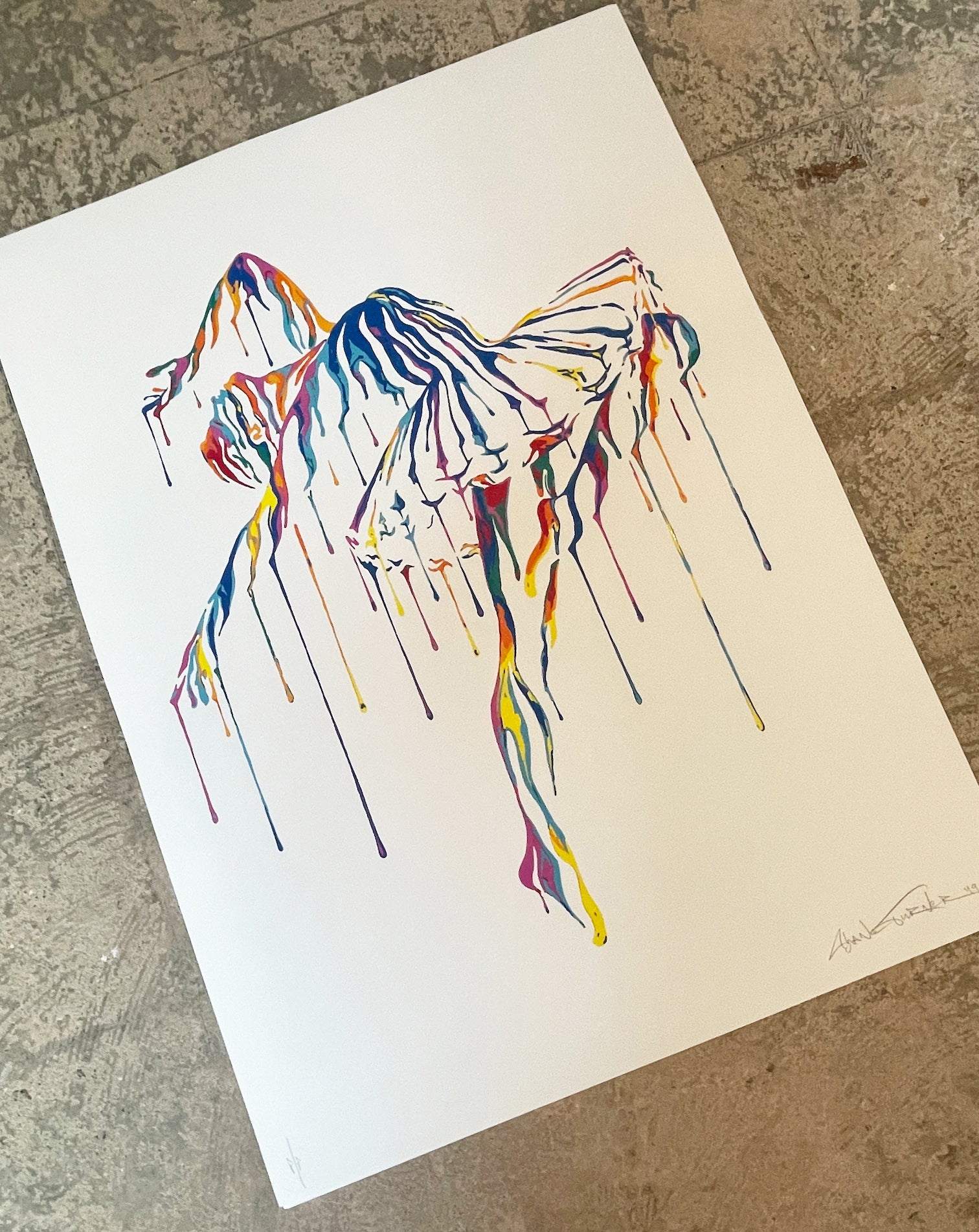 SHANE TURNER MUSIC IN MOTION WHITE P/P