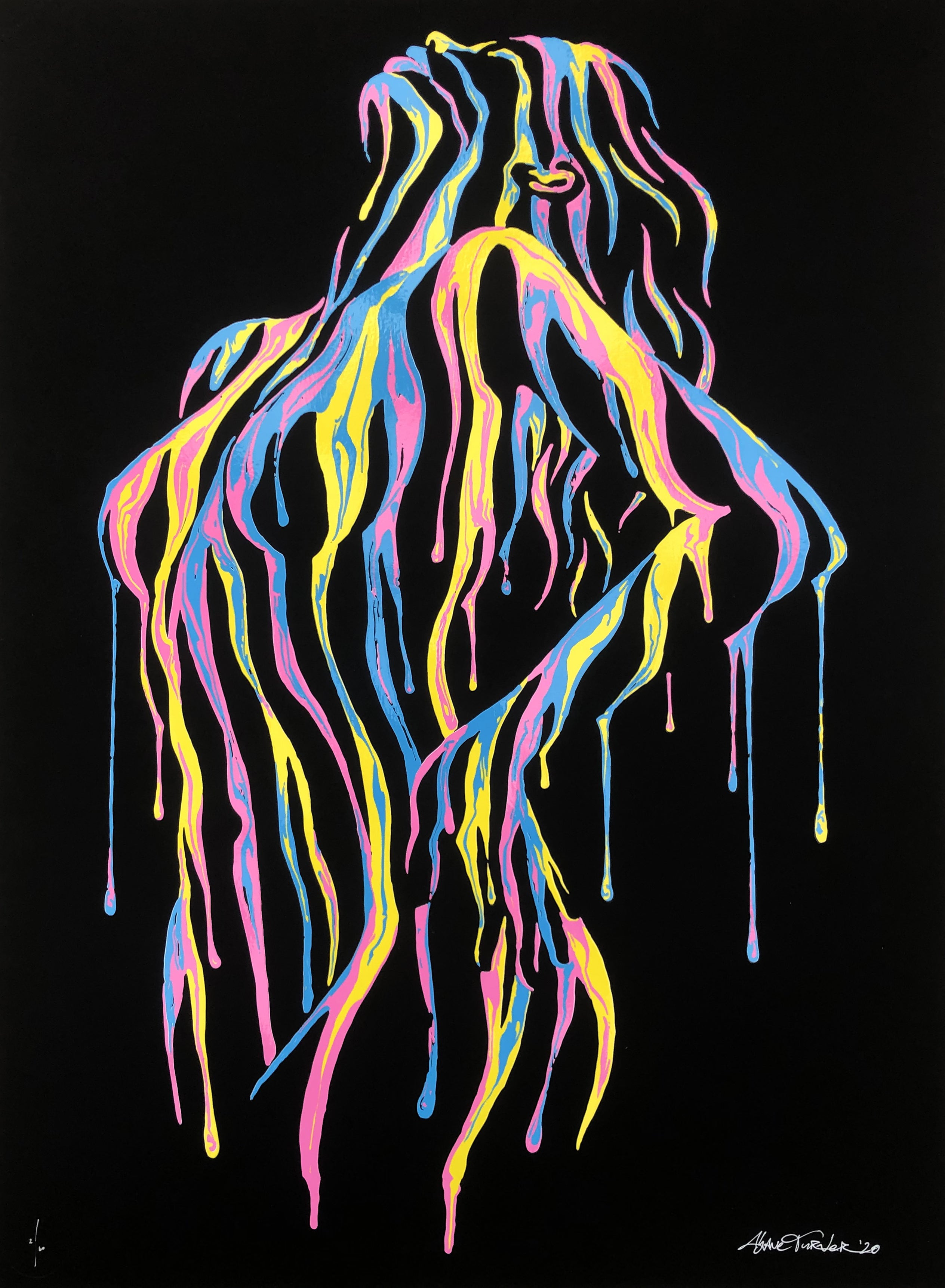 SHANE TURNER PSYCHAMELEON XI P/P