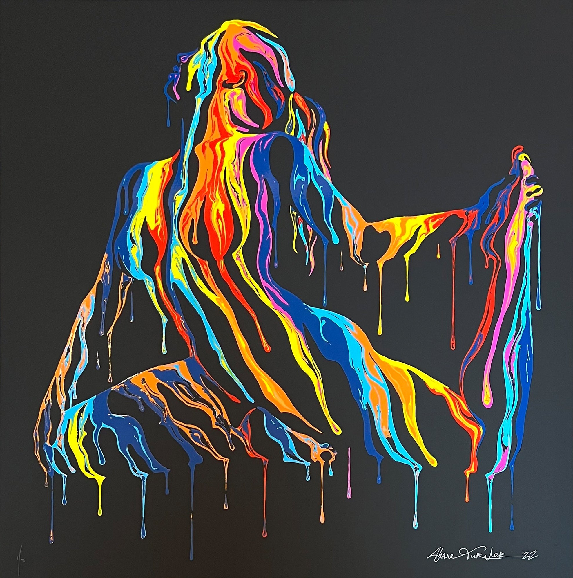 SHANE TURNER PSYCHAMELEON TRANSCENDENCE 6.0 BLACK EDITION OF 75