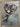 MARTIN WHATSON CRACKED ACRYLIC ED OF 15